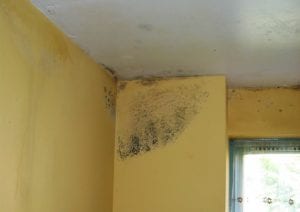 Condensation on wall in a house showing black mould