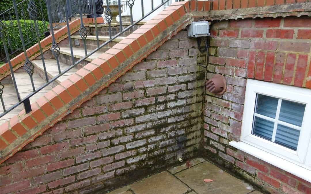 What is damp? The hidden threat lurking in your home