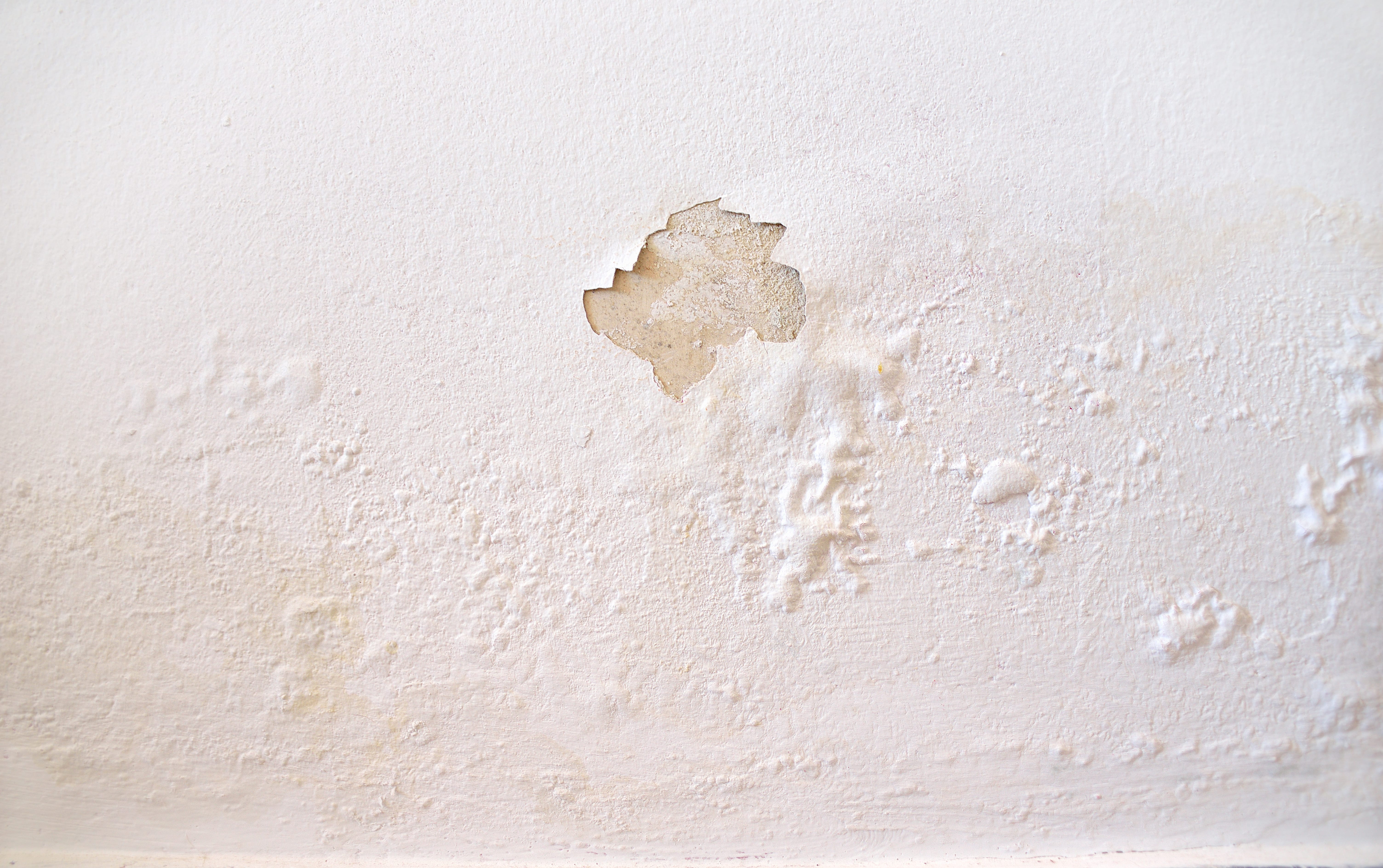 Damp proofing advice background image of a damp damaged wall with pain peeling off.