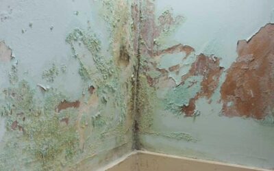 Common causes of damp and how to spot early signs