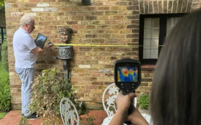 Understanding the importance of professional damp surveys