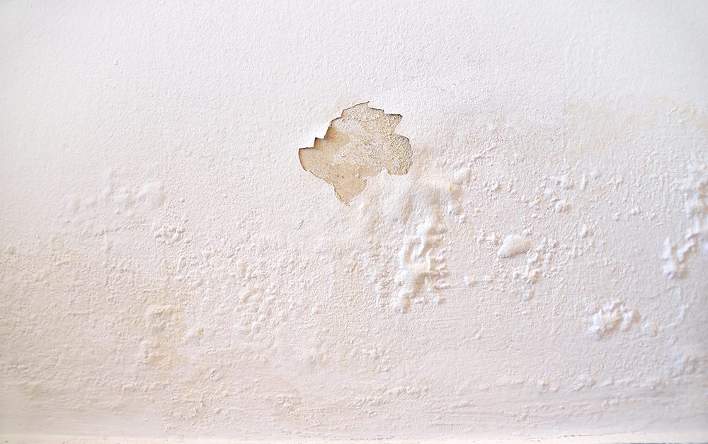 iStock-1012426344-ORD30791-resized Image of a damaged wall with pain peeling off, taken by one of our damp specialists.